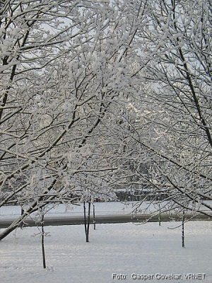 486_8649.JPG