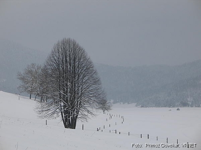 488_8865.JPG