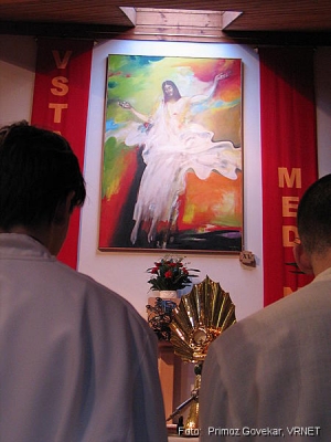 496_9677.JPG