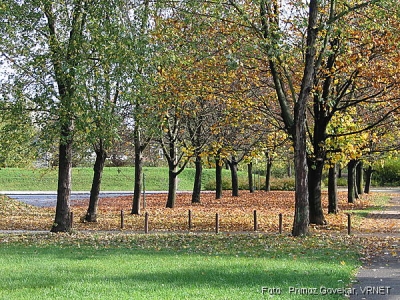 465_6551.JPG