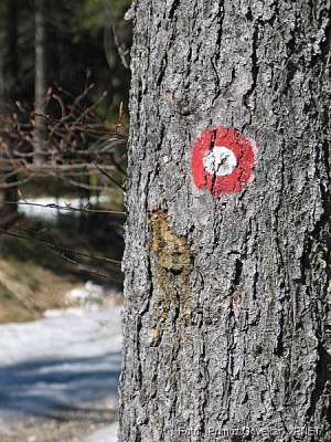 505_0503.JPG
