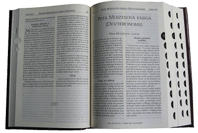 ssp-ozn-odp.jpg
