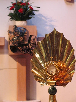496_9681.JPG
