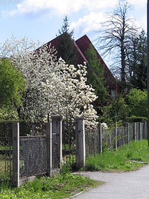 PG_502_0266.JPG