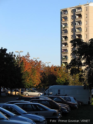 462_6248.JPG