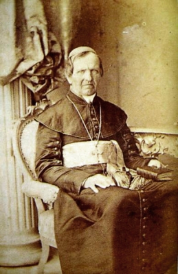 Anton_Martin_Slomsek-Dunaj_1862.jpg