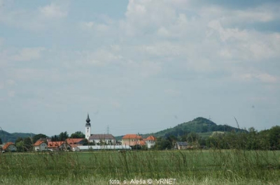 060613133047.jpg