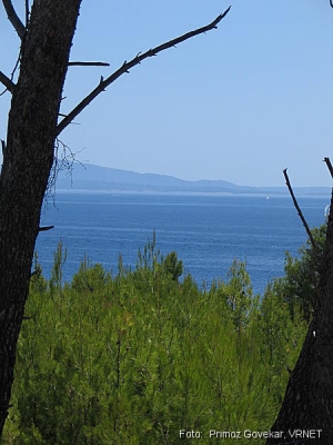 856_5696.JPG