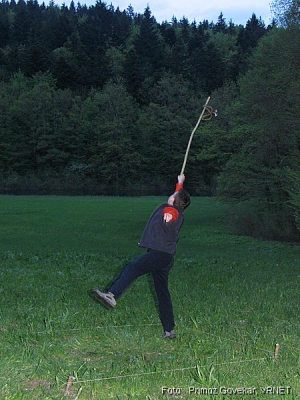 129_2939.JPG