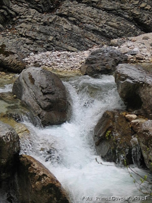 505_0517.JPG