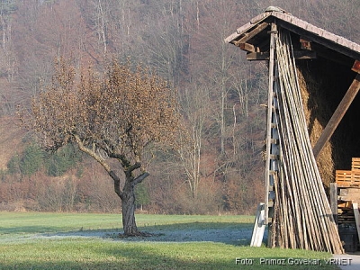 474_7465.JPG