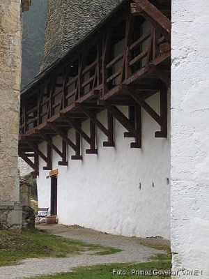 497_9735.JPG