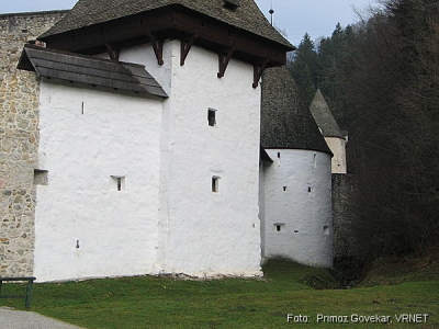 497_9780.JPG